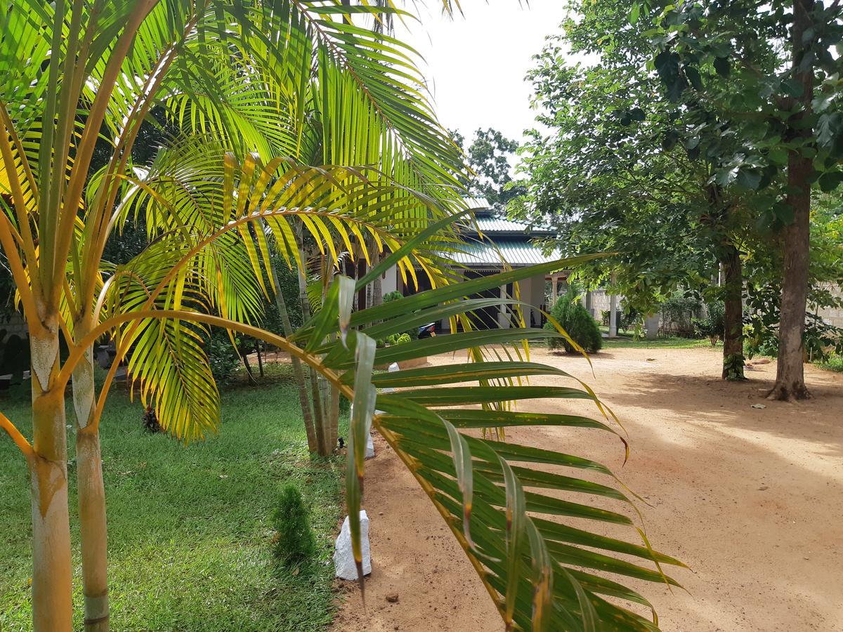 Tamarind Tamarind Resort, Tourist Board Approved Habarana Eksteriør bilde